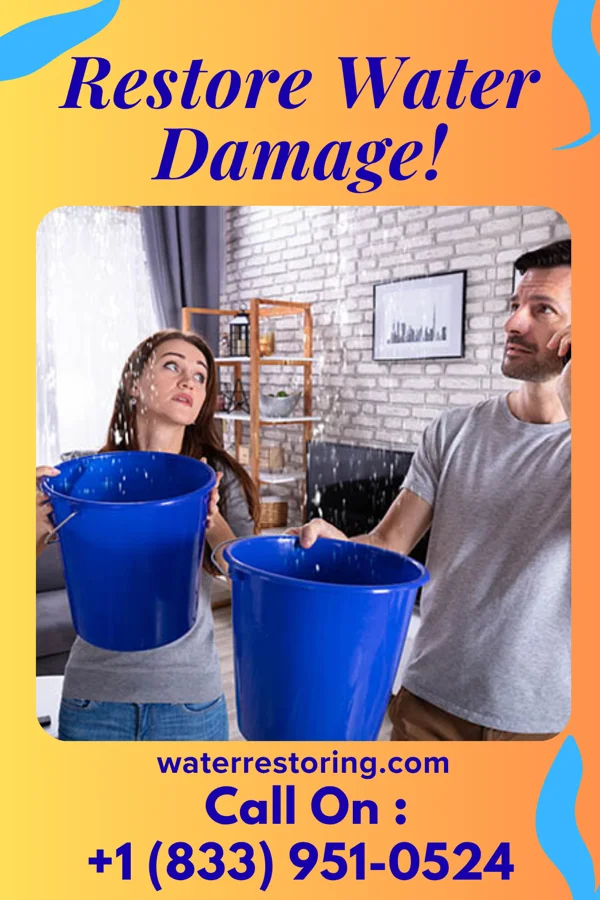 water restoration North Mitigation Group Ashburn